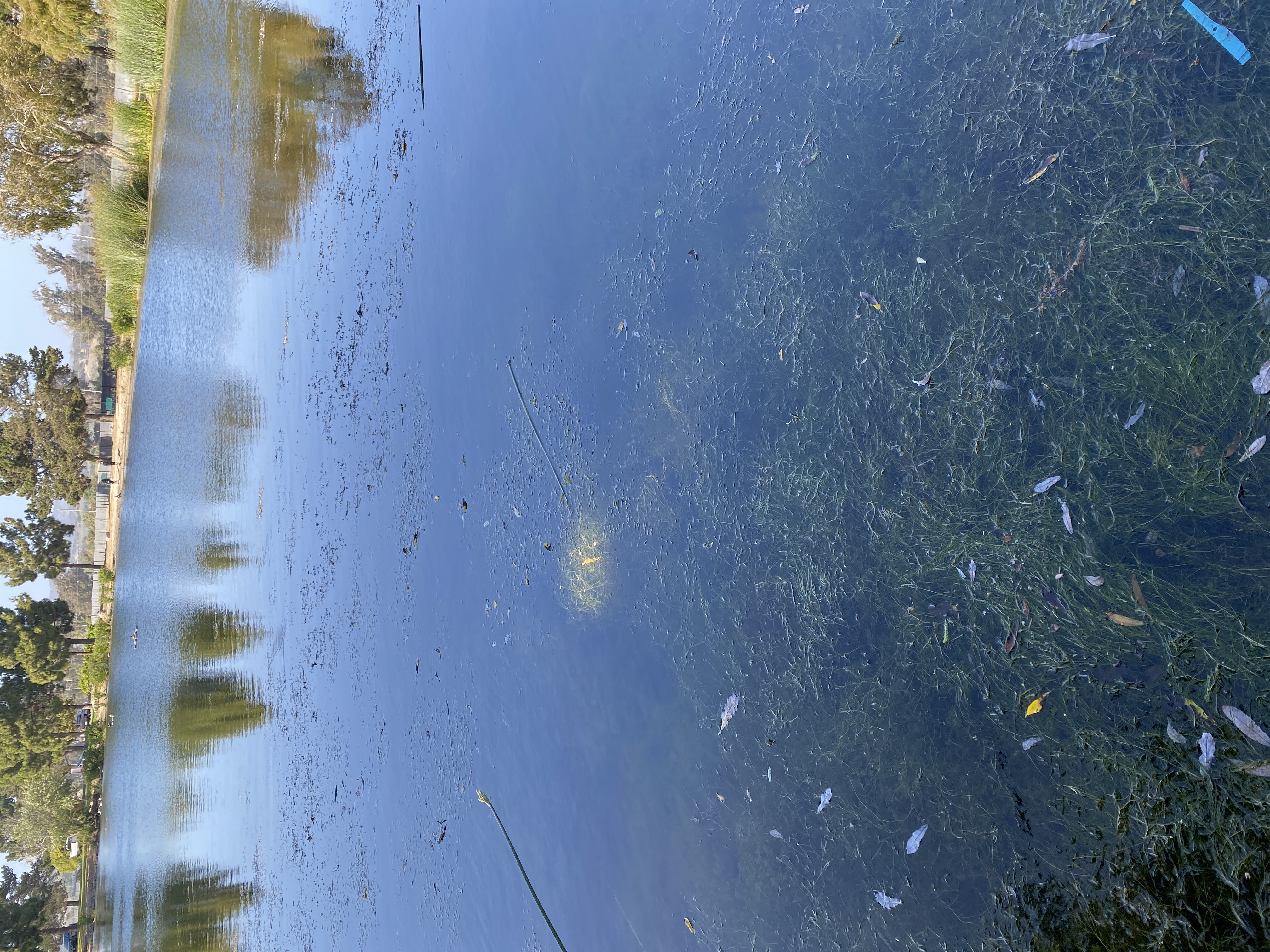 is here good? - User uploaded image