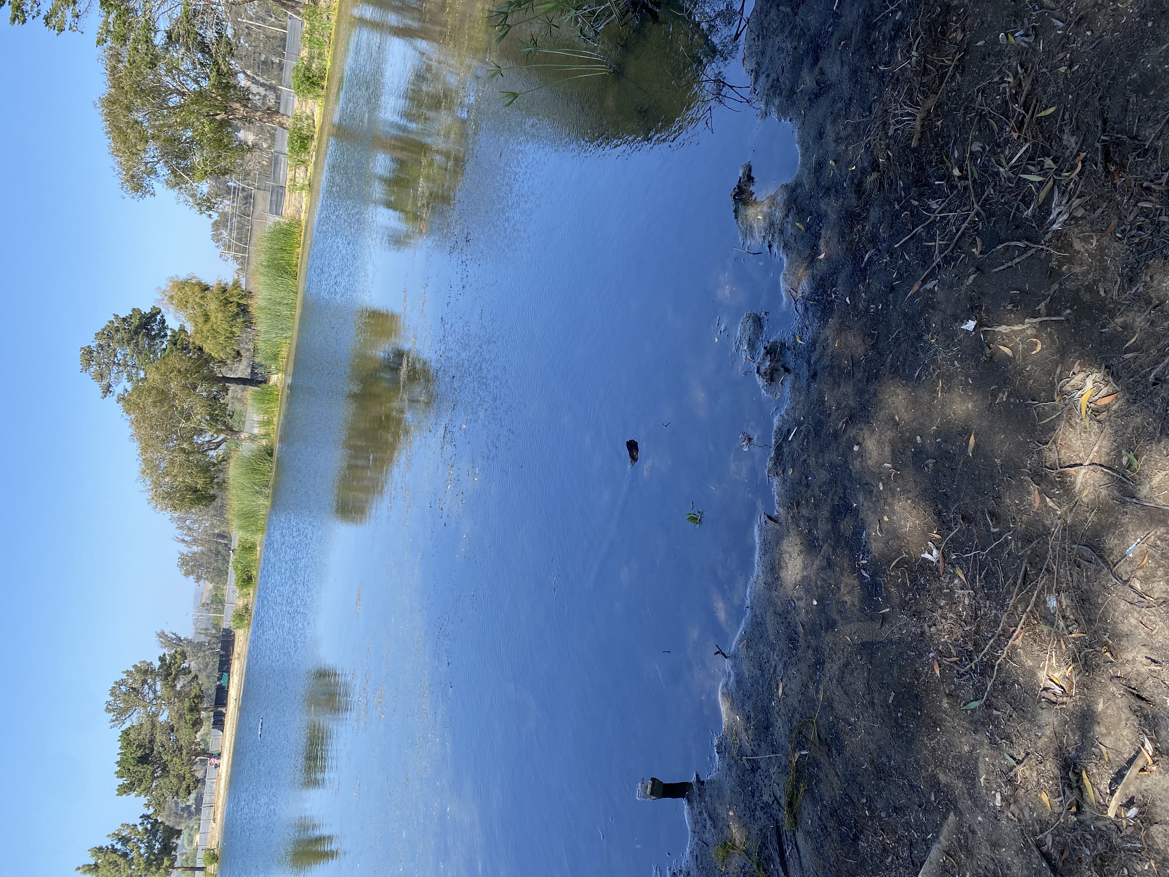 where do i cast for bass — attached by asker