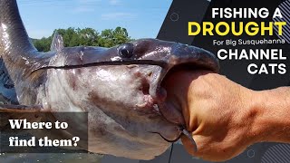 What is the best time of year to catch flathead catfish on the Susquehanna River?