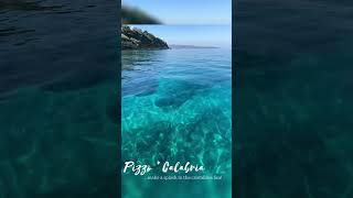 FishGPT