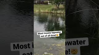 What are the best bass fishing strategies for a 7.5-acre North Texas pond with a fountain in the NE corner and limited bank cover?