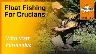 What are effective tactics for targeting crucian carp (鲫鱼), and how can bass anglers adapt them?