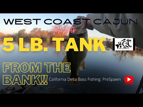 Best spots to fish the CA Delta?