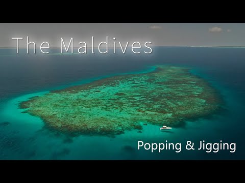 What are the best baits for Maldivian waters?