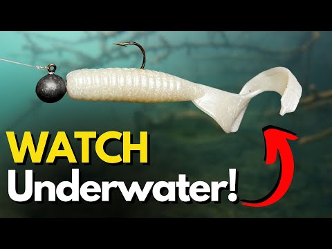 What size worm hook is best for a 2-inch Mister Twister curly tail grub?
