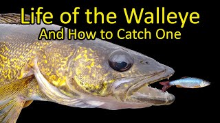What is the best bass fishing spot in Vantage, WA?