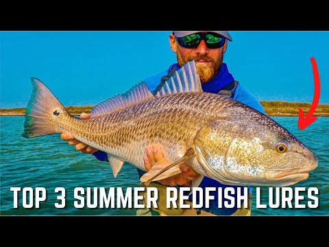 What is the best bait for redfish in Pensacola Bay?