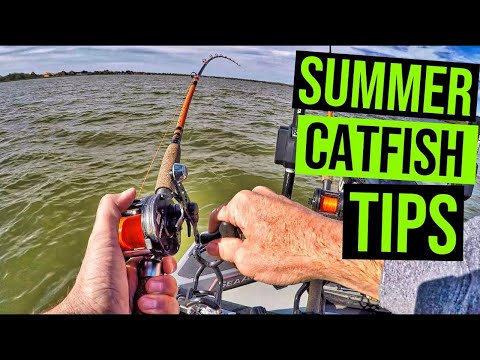 How do I catch more catfish during summer in Texas?