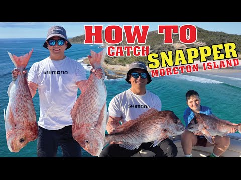 What are some good fishing spots around Brisbane?