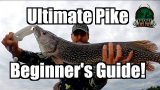 Where do I find pike in Lake Constance during August on a sunny, warm day?