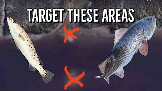 What’s a Folly River fishing plan for bass anglers?