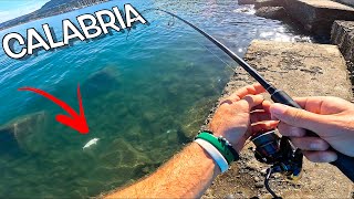 What is the best month to catch bonito in Brindisi?