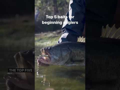 What top four lures should I use?