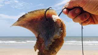 How to catch sharks?