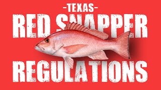 What is the bag limit for mutton snapper in Texas?