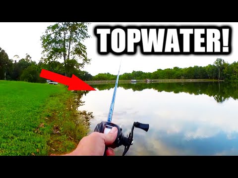 Is this a good time of year to throw a topwater bait for bass?