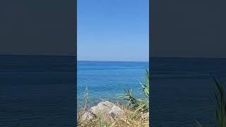 FishGPT