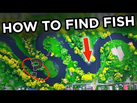 How do I know if there are fish in a pond?
