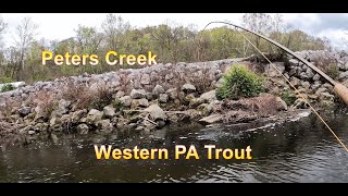 What bass-fishing tactics work best at Peters Creek, PA in mid-summer?