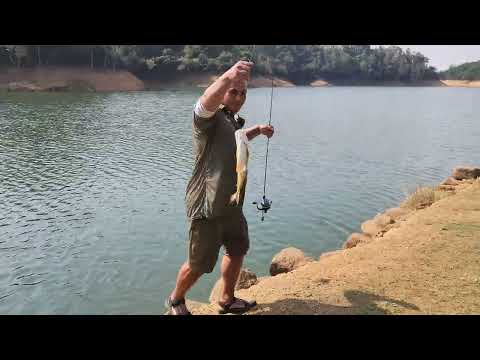 What are some fishing tips for Shing Mun Reservoir?