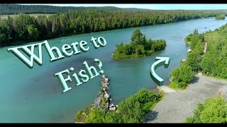 Where can you catch good salmon?