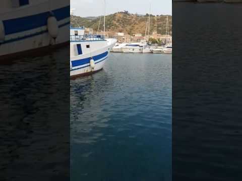 What are the best shore jigging spots near Acciaroli?