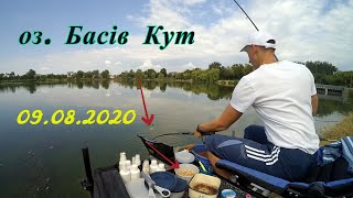 Де шукати ляща в рівненському районі?