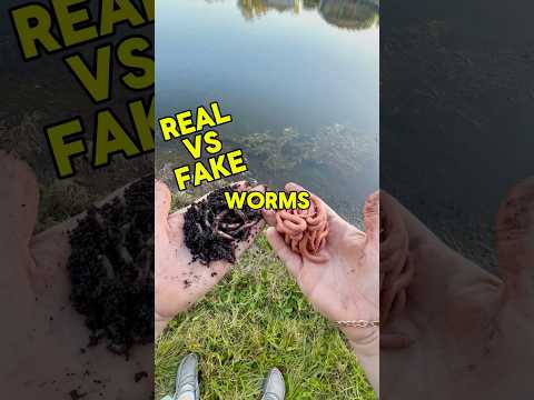 What color worm should I use today at Indian Lake?