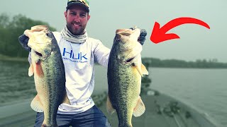 What are some pro techniques for bass fishing?