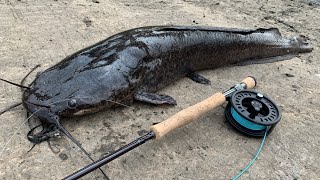 How can I fish for large fish in Hong Kong?
