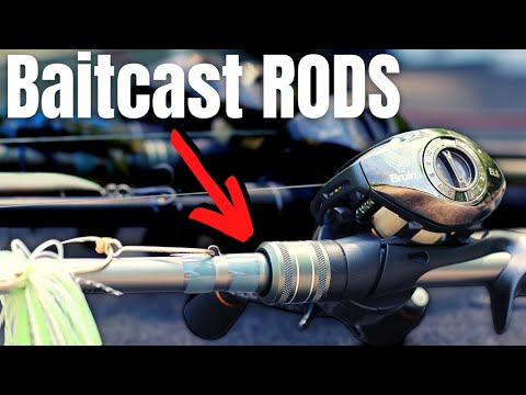 Is a 6'6" medium heavy 10-22 gram baitcasting rod good for small to medium snakehead and bass?