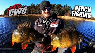 Is now a good time for perch fishing on Västerdalälven?