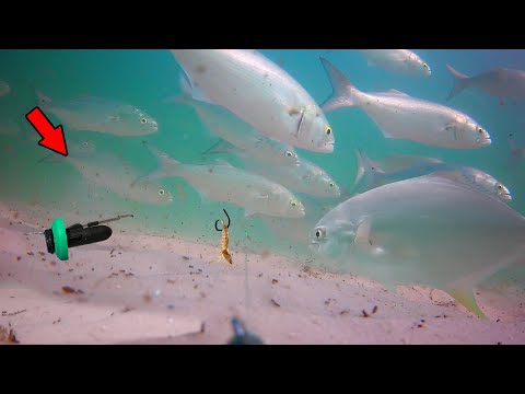 Is there a fishing rod with a camera to detect fish movement?