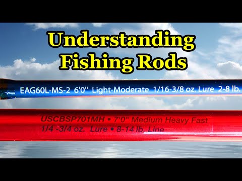 What is the best type of fishing for bass anglers in the UK?