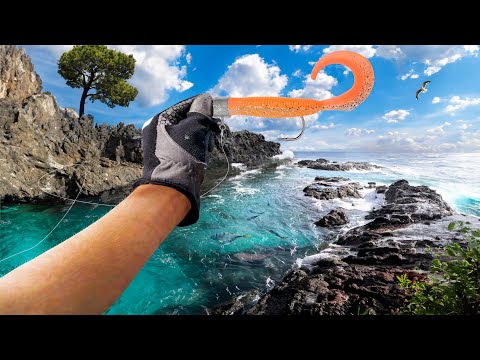 Where is the best fishing in New Zealand and what types of fish can be caught?