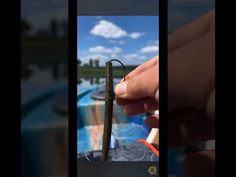 What size offset worm hook is best for white bass?