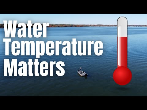 What is largemouth bass behavior when water levels stay consistently high?