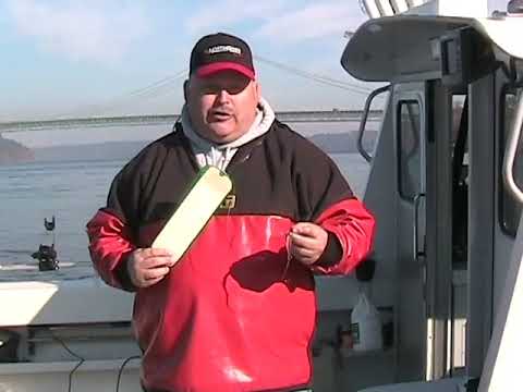 What size swivel should I use for Coho salmon?