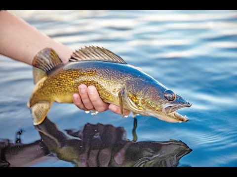 Where should I fish in Iowa?