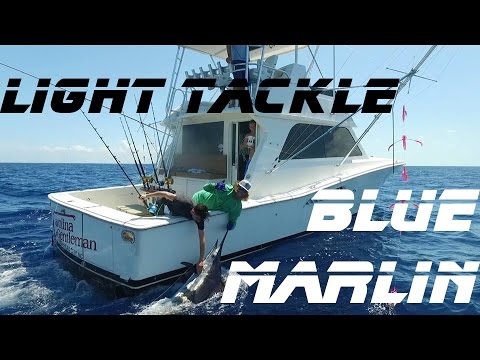 Can I find marlins at Chub Cay in July?