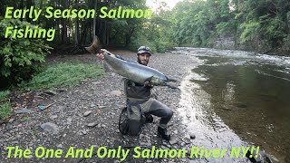 What are the current fishing conditions on the Salmon River in Pulaski, NY?