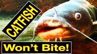 What is the best way to catch channel catfish that don't bite often?