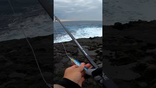 How is shore jigging at Torre di Punta rama?