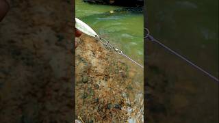 Where is the best place to go for LRF with a 7 g minnow near Attica on Thursday or Friday?
