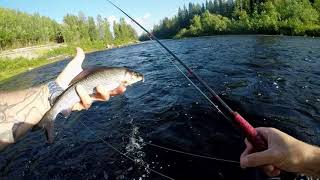 What's the best way to go fishing today at Västerdalälven?