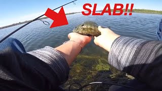 How do you catch bluegill in the California Delta?