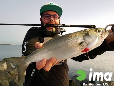 What lure should I use for fishing at Manly Rockwall?