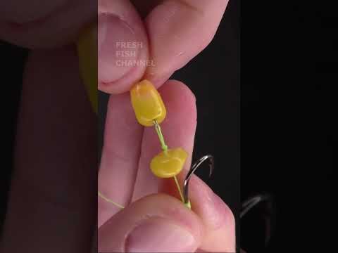 What fly pattern will be good for carp and tilapia that are pretty active?