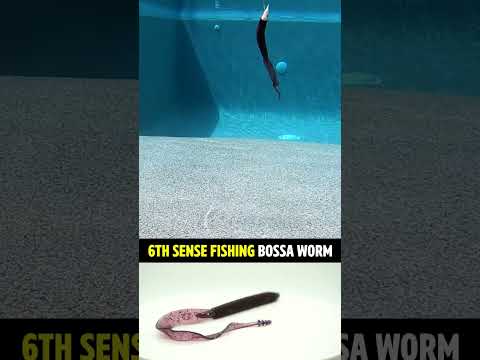 What is the best way to rig a ribbon tail worm to work it in vegetation?