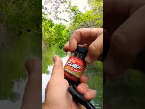 Is a size 4 offset worm hook good for red ear sunfish?